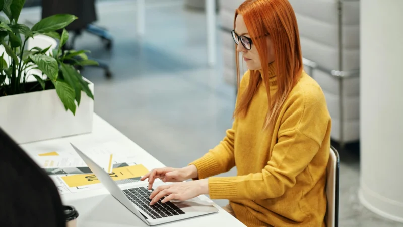 Virtual Assistant for American Entrepreneurs